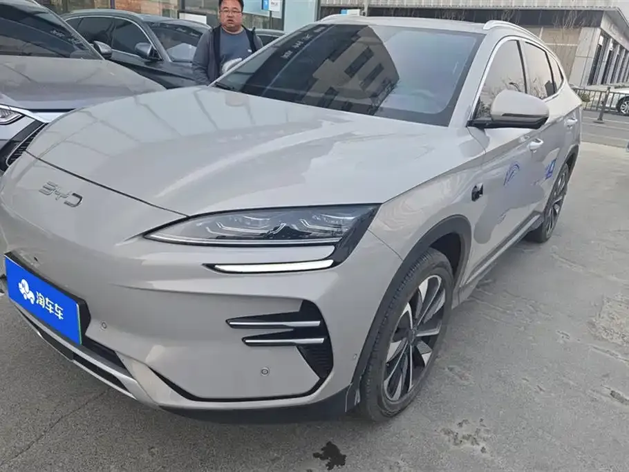 BYD PLUS New Energy — фото 1