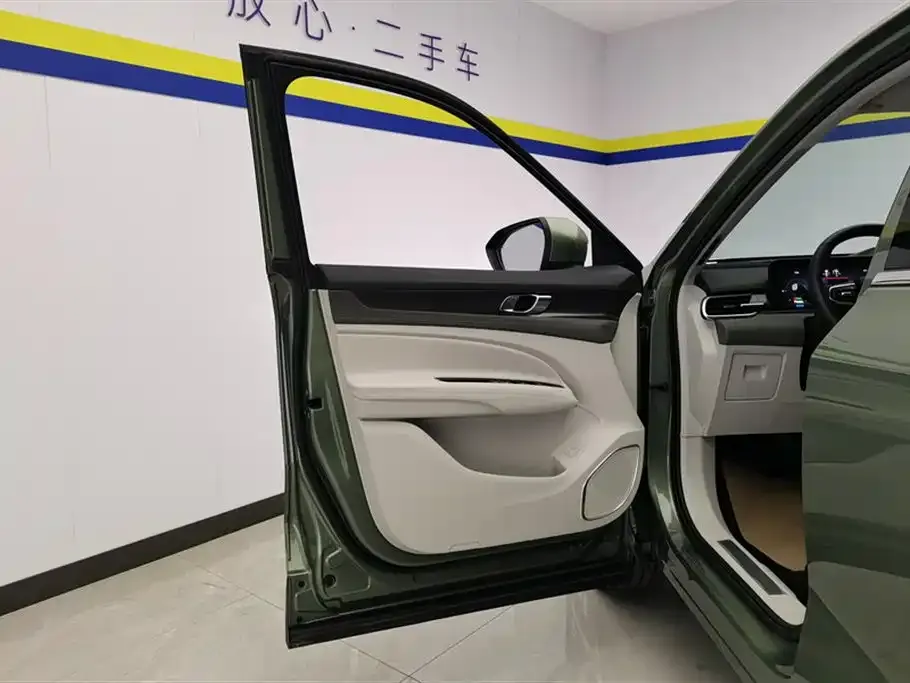 Ford Lingyu New Energy 2025 из CN, фото 4
