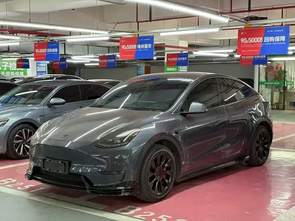 Tesla Model Y 2021 из CN, фото 1