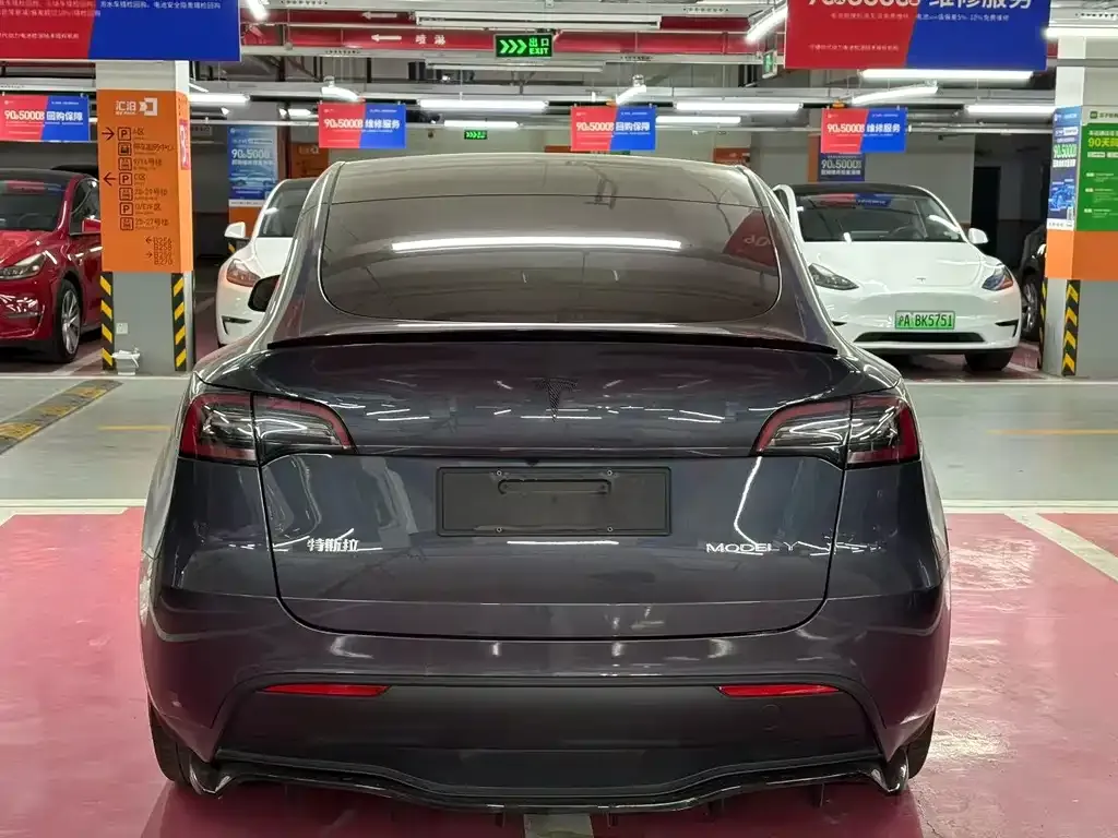 Tesla Model Y 2021 из CN, фото 4