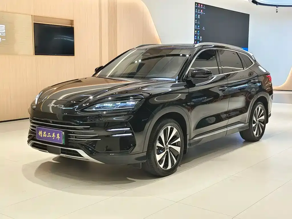 BYD PLUS New Energy — фото 1