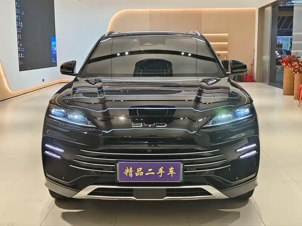 BYD PLUS New Energy — фото 3