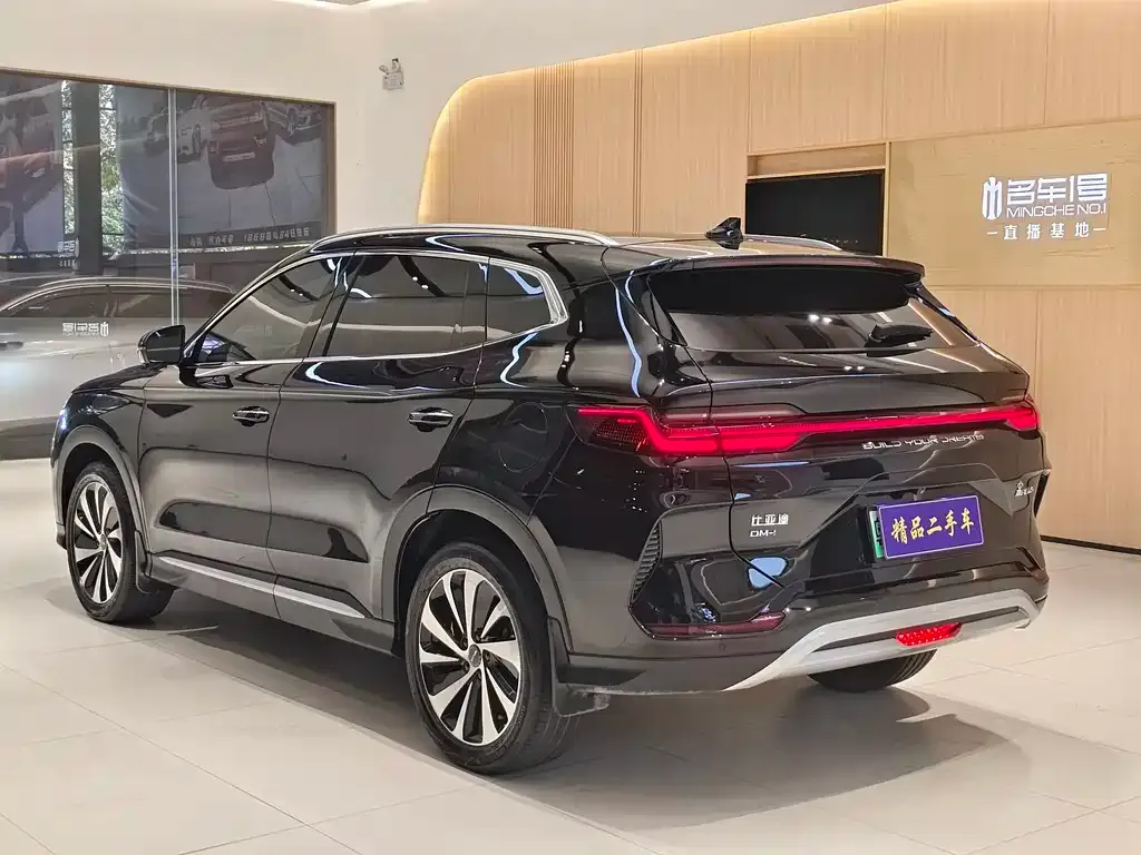 BYD PLUS New Energy — фото 10