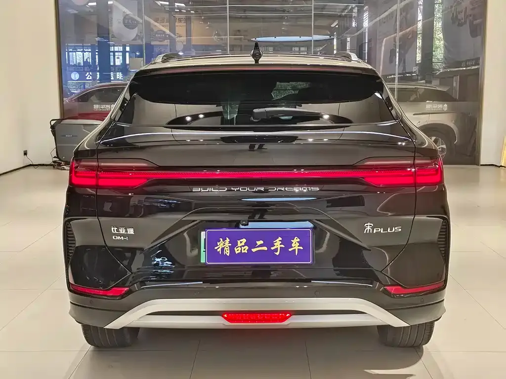 BYD PLUS New Energy — фото 9