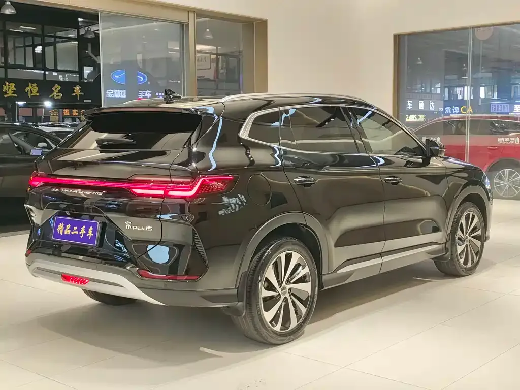 BYD PLUS New Energy — фото 4
