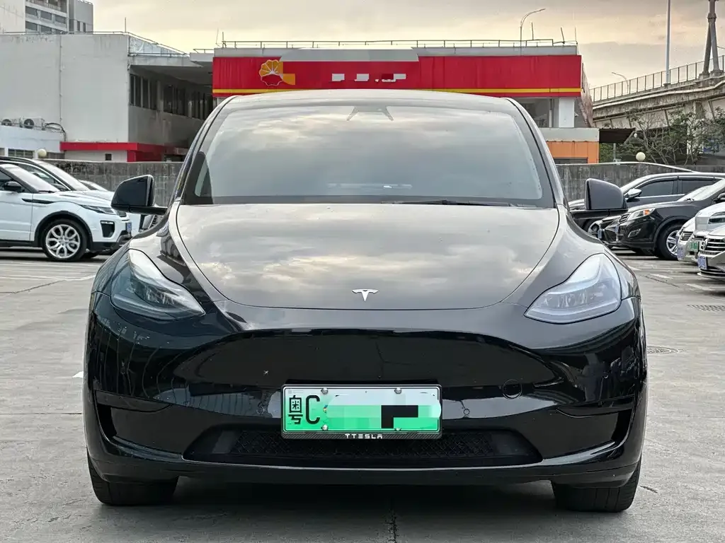 Tesla Model Y — фото 8