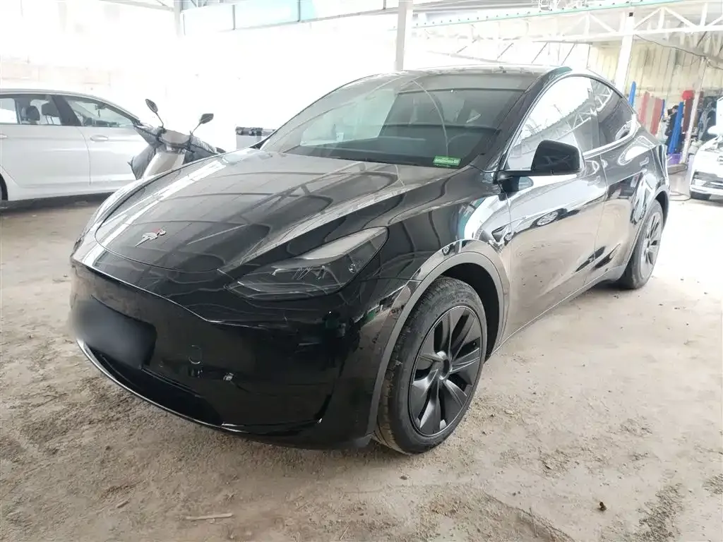 Tesla Model Y — фото 5