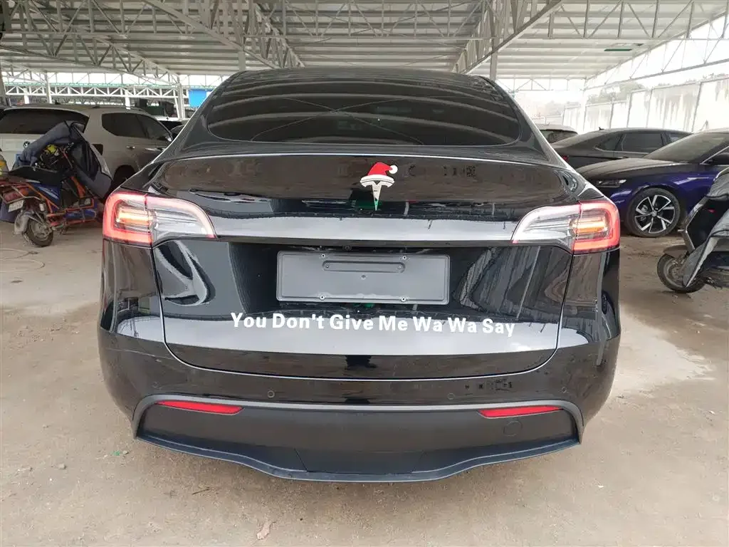 Tesla Model Y — фото 8
