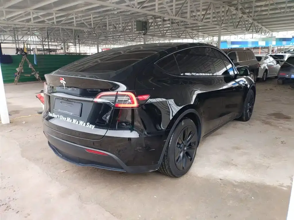 Tesla Model Y — фото 10