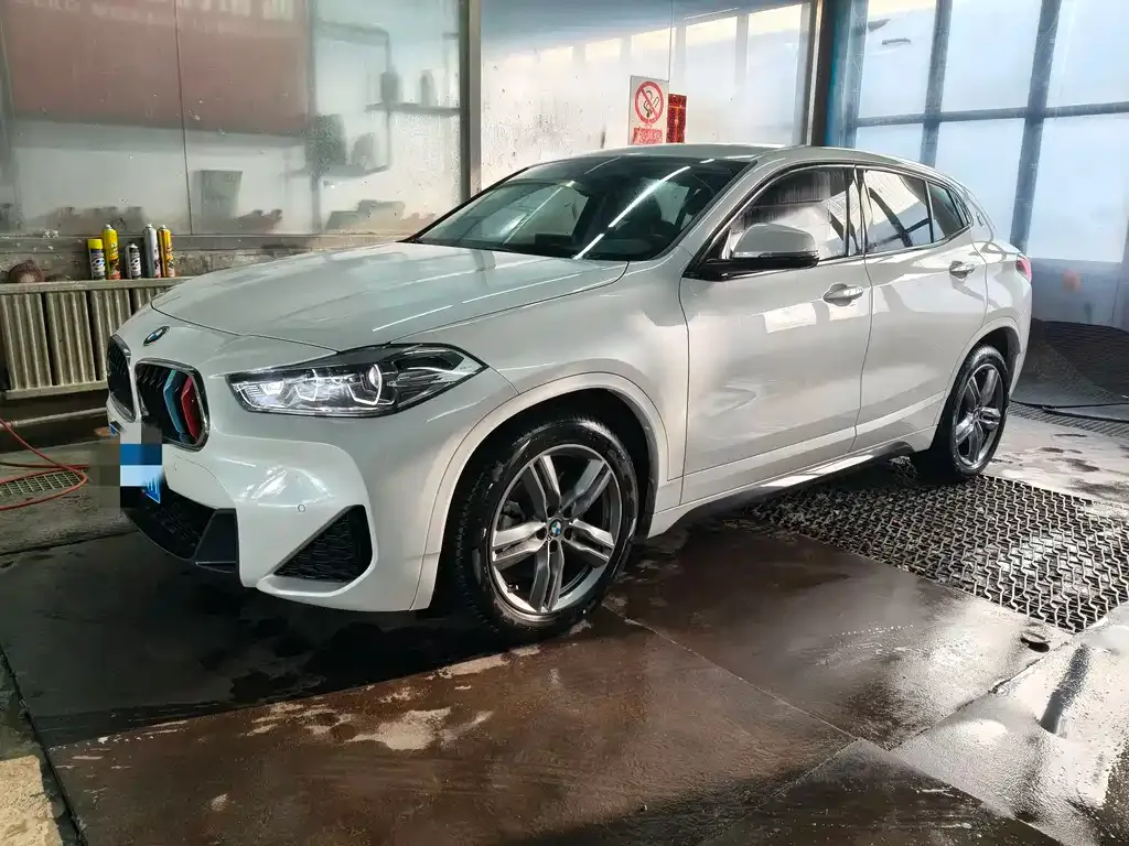 BMW X2 2022 из CN, фото 6