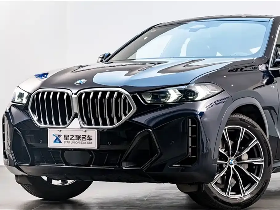 BMW X6 2024 из CN, фото 6
