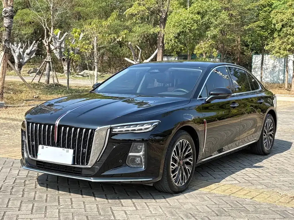 Hongqi H5 2024 из CN, фото 1