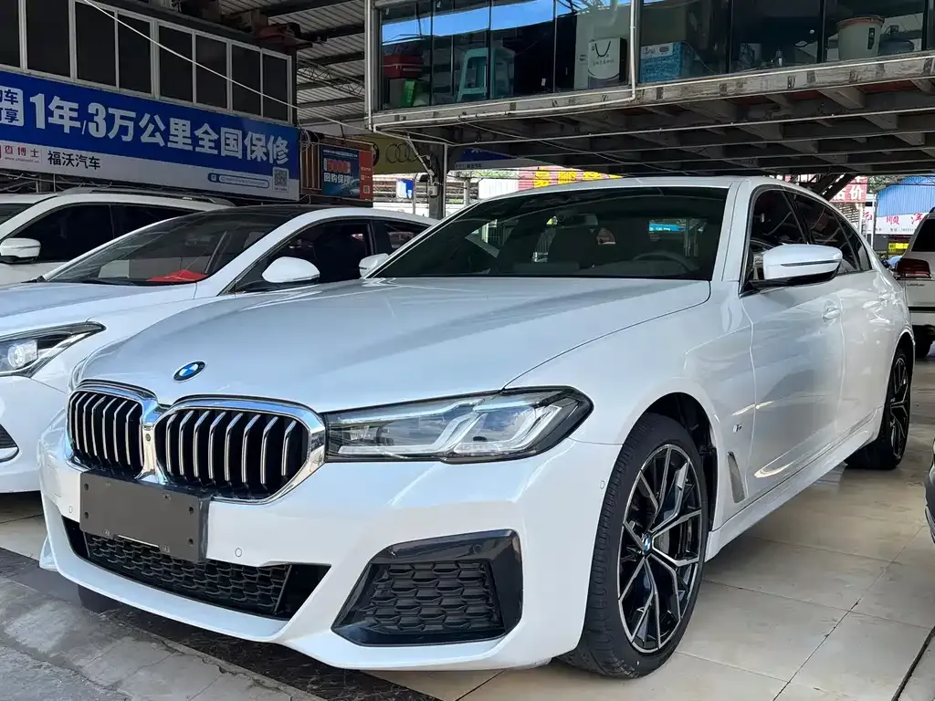 BMW 5 Series 2021 из CN, фото 1