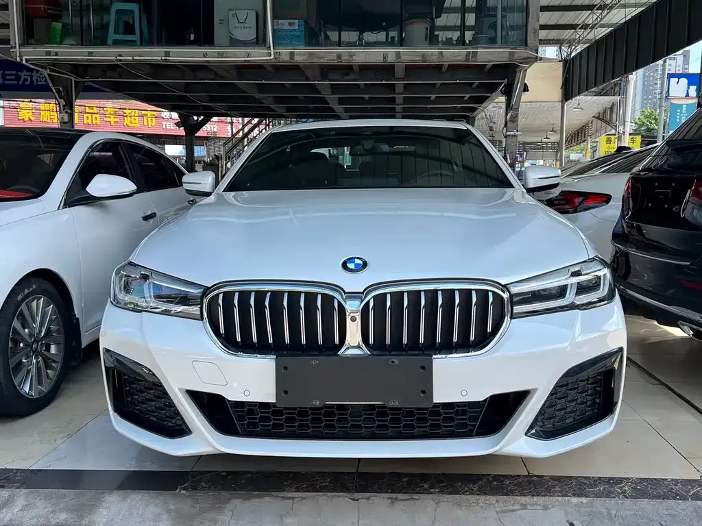 BMW 5 Series 2021 из CN, фото 4