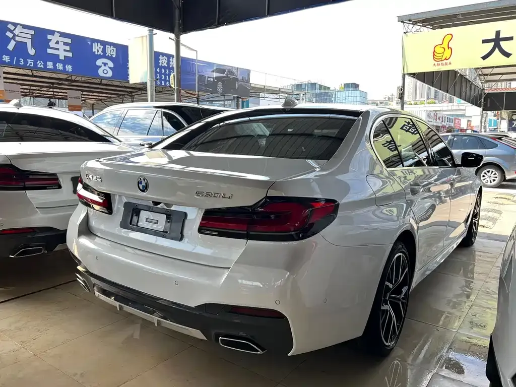 BMW 5 Series 2021 из CN, фото 5