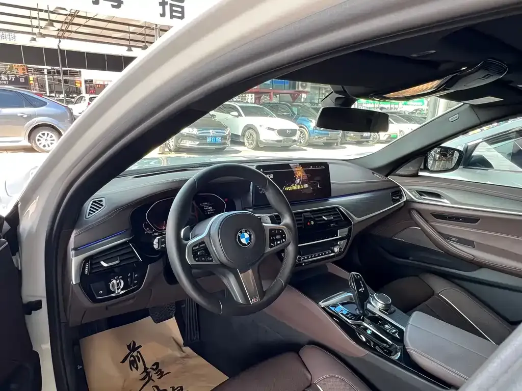 BMW 5 Series 2021 из CN, фото 8