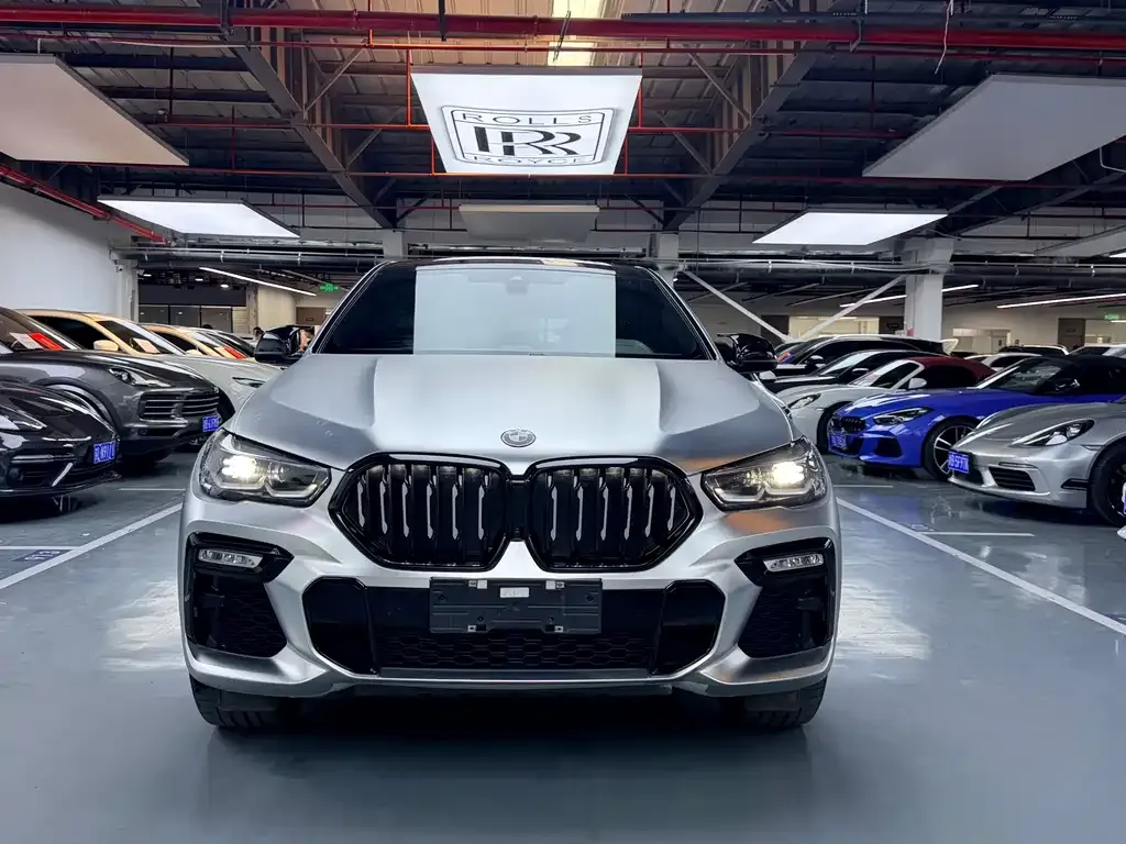 BMW X6 2021 из CN, фото 2