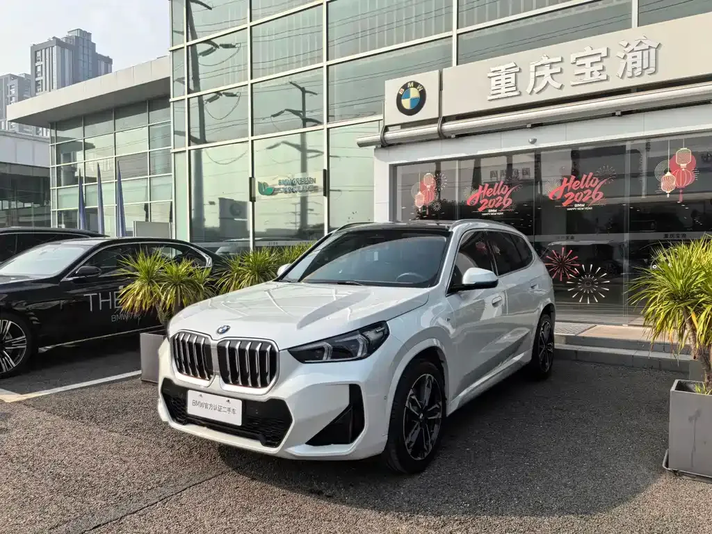 BMW X1 — фото 1