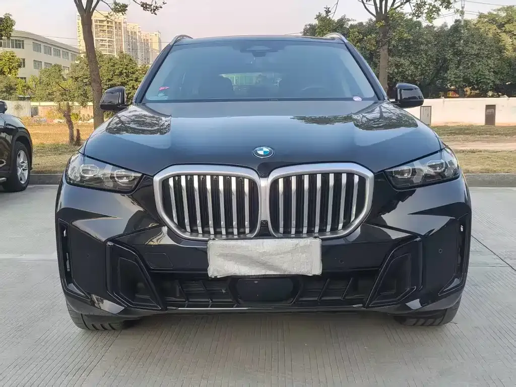 BMW X5 2024 из CN, фото 7