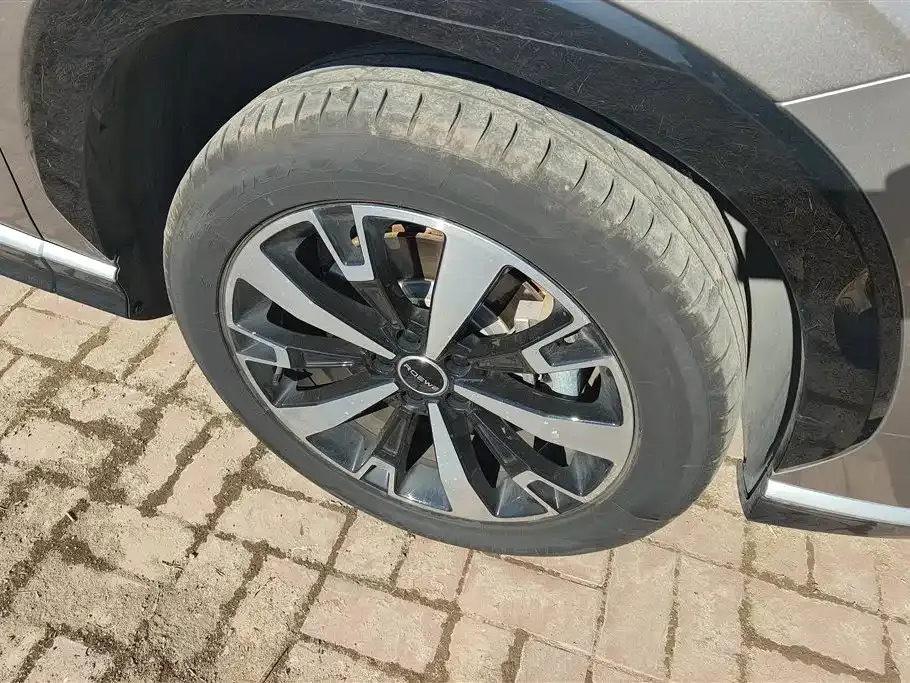Roewe D5X DMH 2024 из CN, фото 6