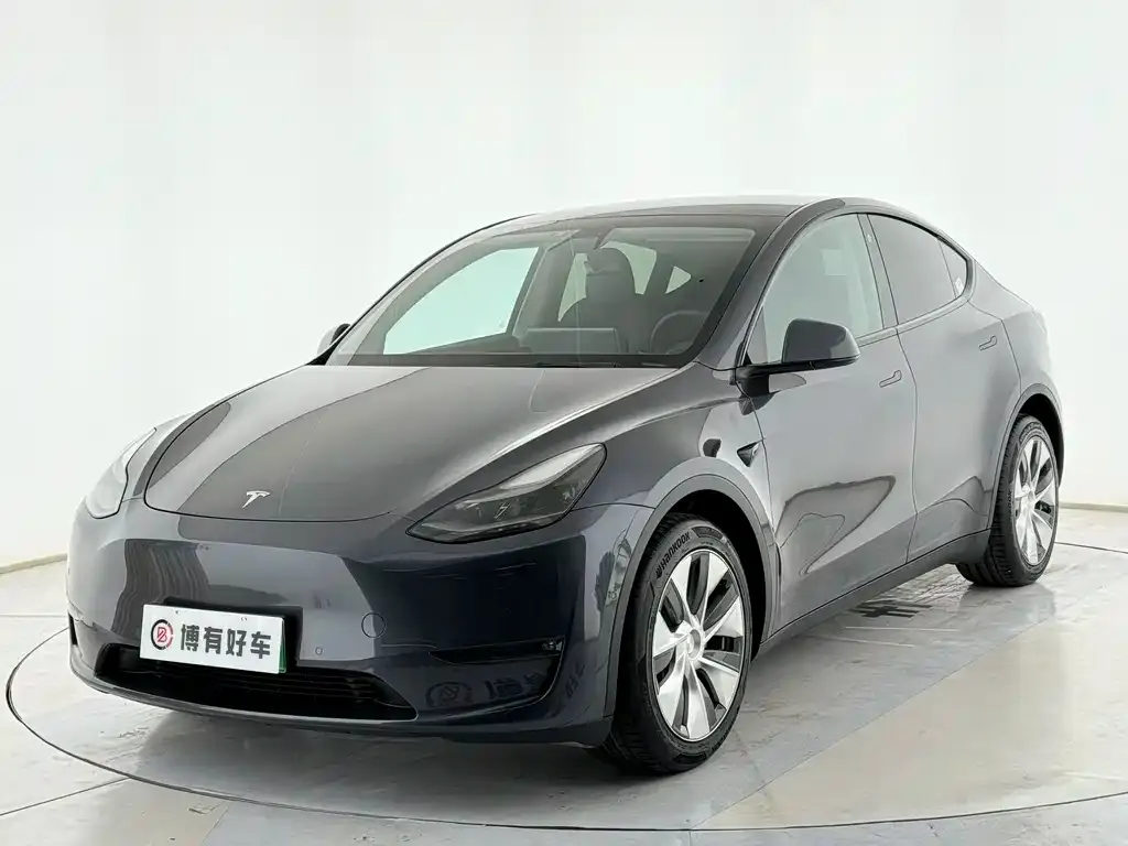 Tesla Model Y — фото 1