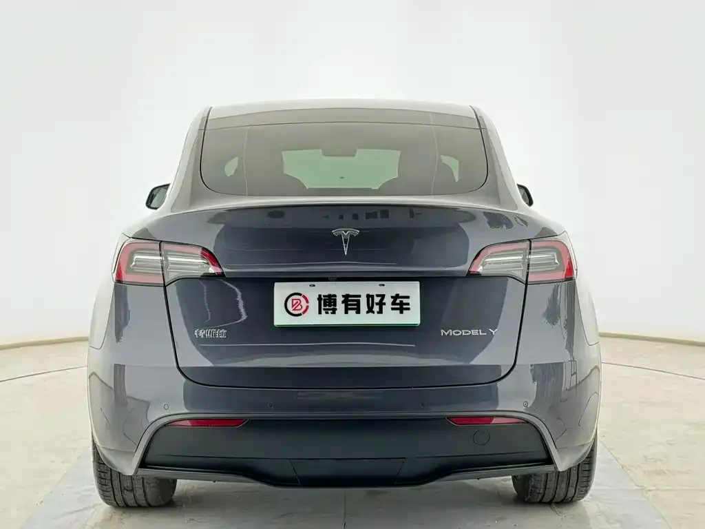 Tesla Model Y — фото 7