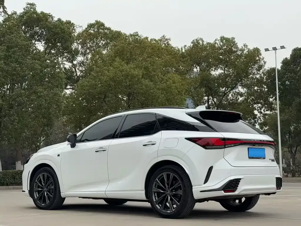 Lexus RX — фото 8