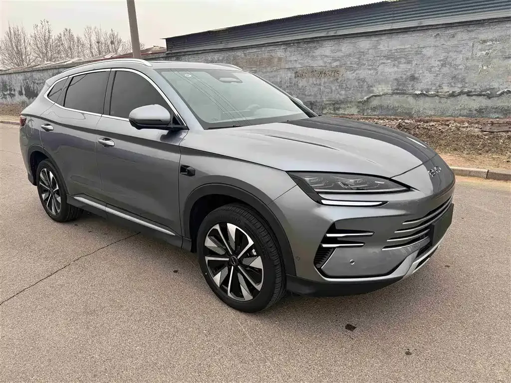 BYD PLUS New Energy — фото 8