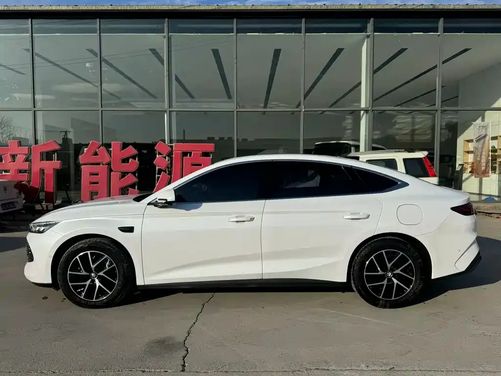 BYD Qin L — фото 6