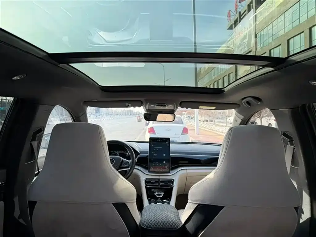 BYD PLUS New Energy 2022 из CN, фото 7