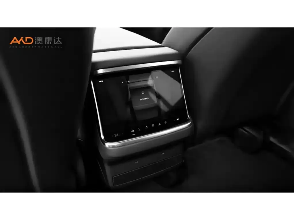 Tesla Model X 2023 из CN, фото 10