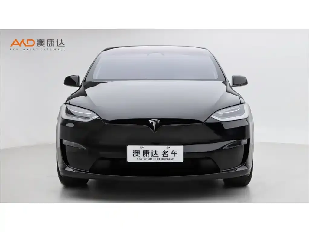 Tesla Model X 2023 из CN, фото 2