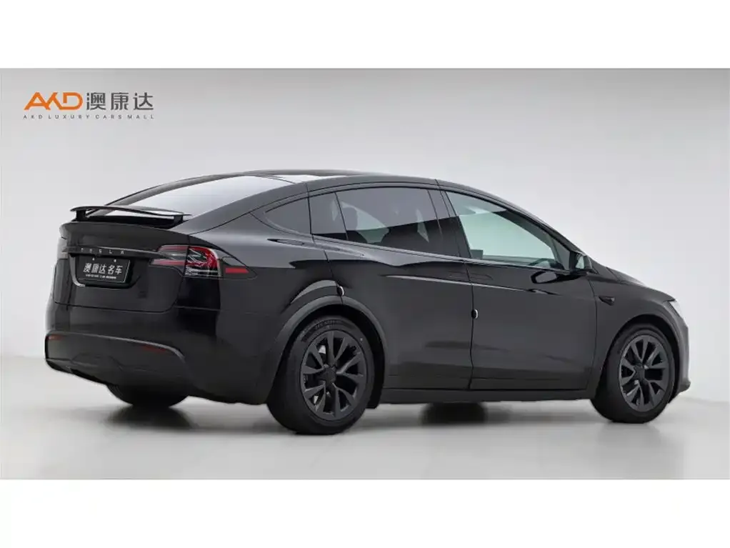 Tesla Model X 2023 из CN, фото 3