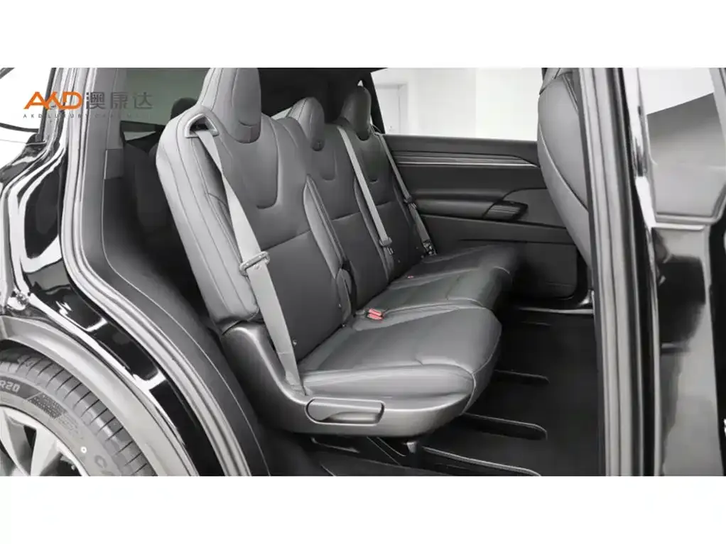 Tesla Model X 2023 из CN, фото 9