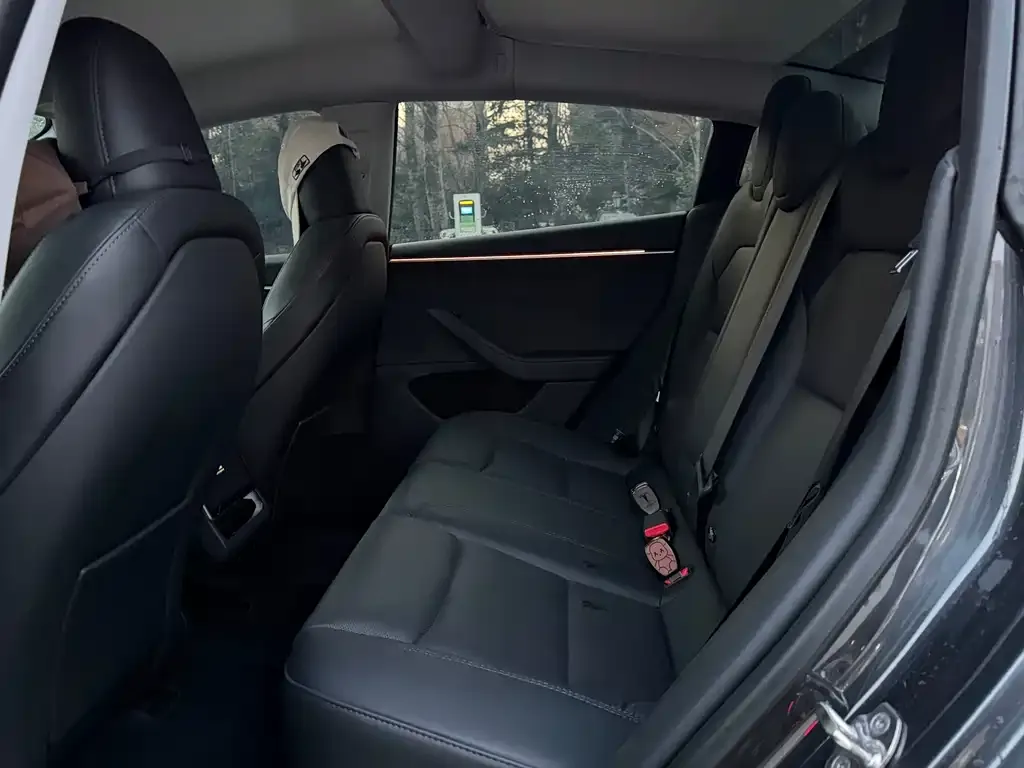 Tesla Model 3 2024 из CN, фото 4