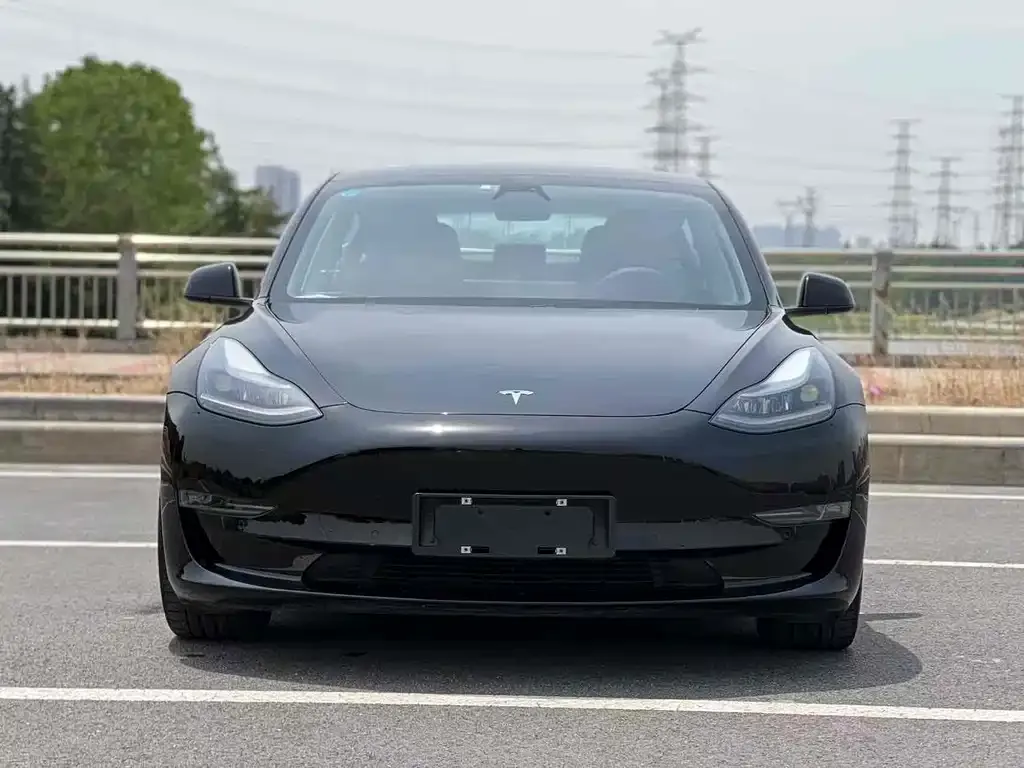 Tesla Model 3 2021 из CN, фото 2