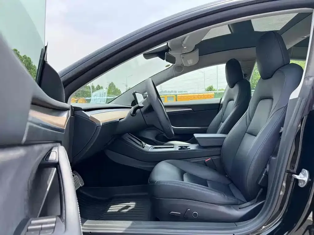 Tesla Model 3 2021 из CN, фото 3