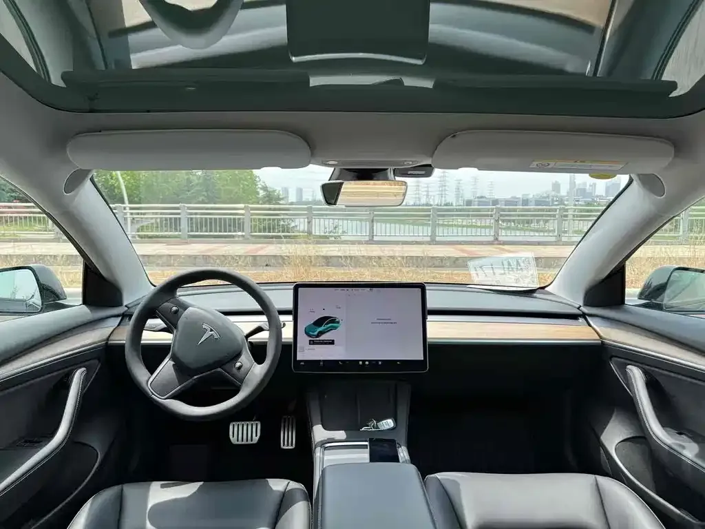 Tesla Model 3 2021 из CN, фото 4