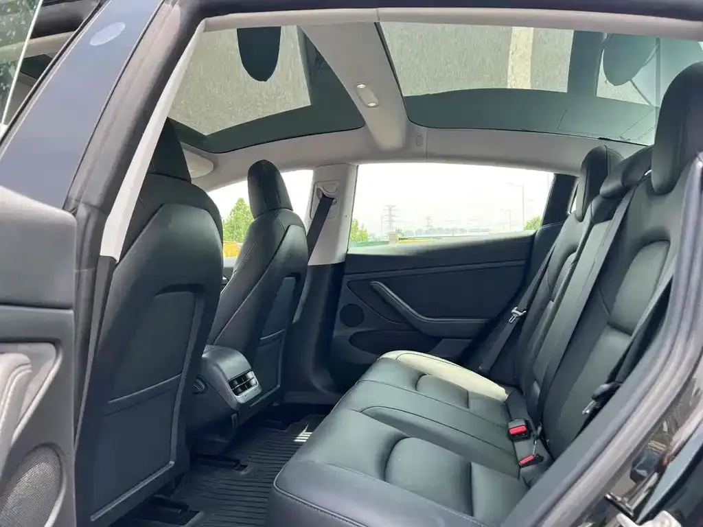 Tesla Model 3 2021 из CN, фото 5
