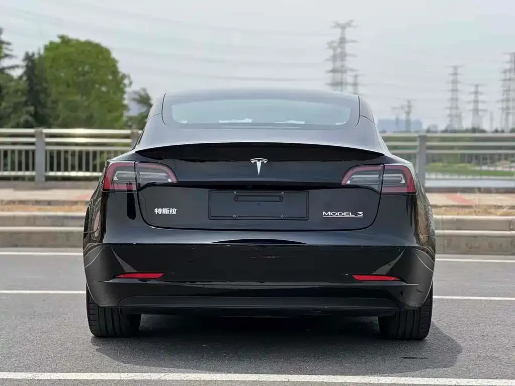 Tesla Model 3 2021 из CN, фото 8