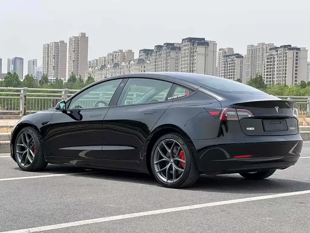 Tesla Model 3 2021 из CN, фото 9