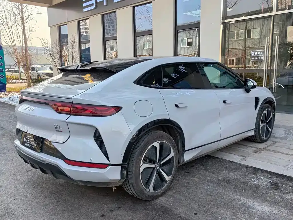 BYD L EV 2025 из CN, фото 10