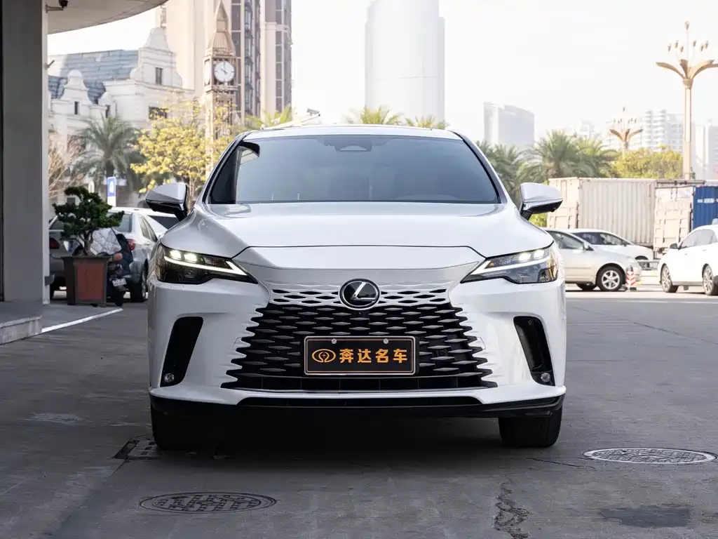 Lexus RX 2023 из CN, фото 9