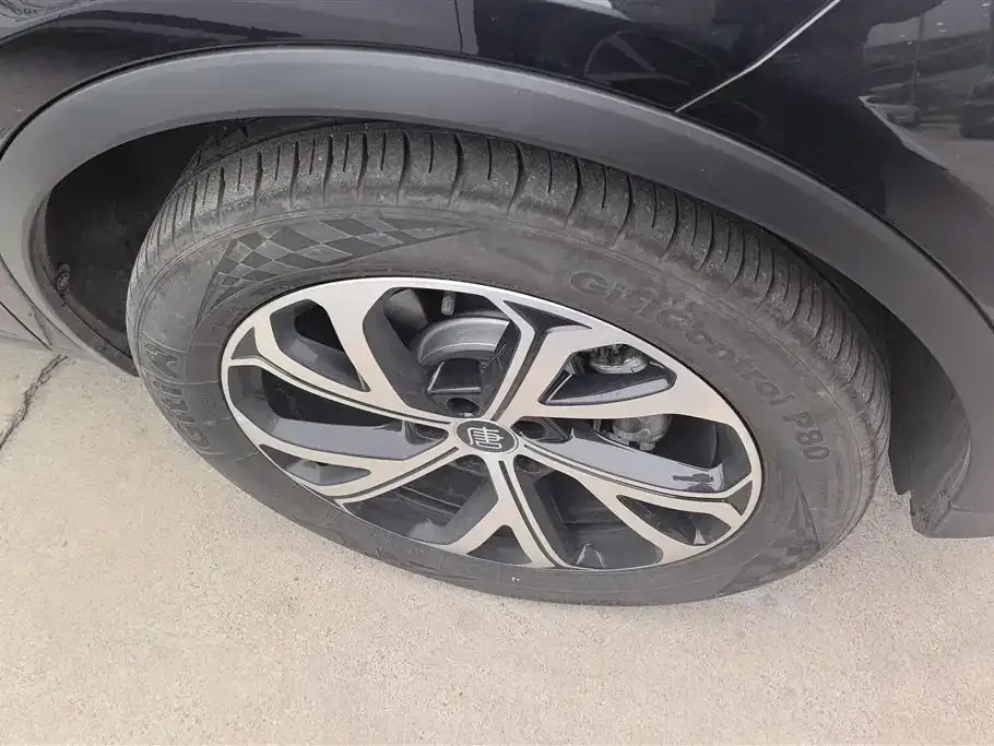 BYD Tang New Energy — фото 9
