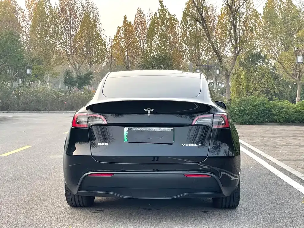 Tesla Model Y — фото 9