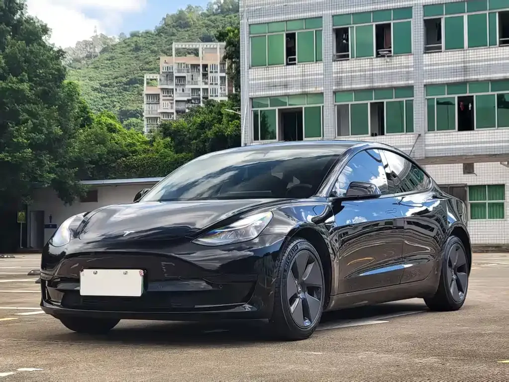 Tesla Model 3 2021 из CN, фото 1