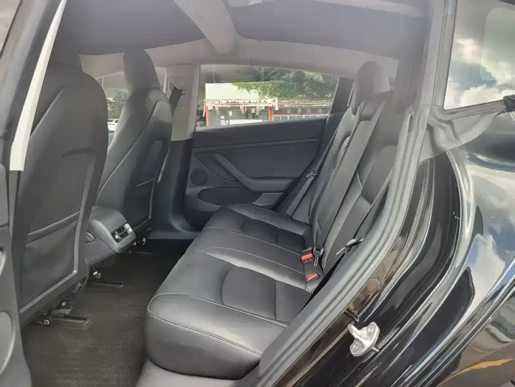 Tesla Model 3 2021 из CN, фото 7