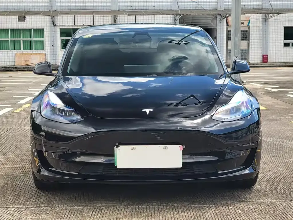 Tesla Model 3 2021 из CN, фото 6