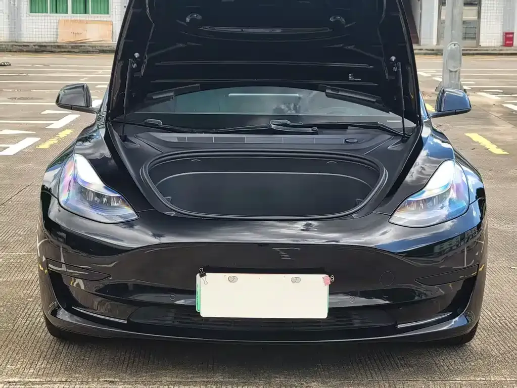 Tesla Model 3 2021 из CN, фото 5