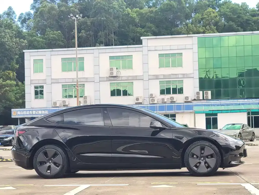 Tesla Model 3 2021 из CN, фото 2